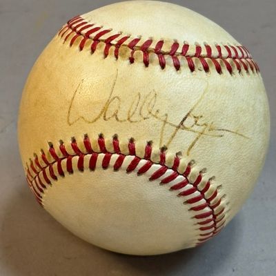 Wally Joyner Brown Rawlings Haiti Signed Baseball