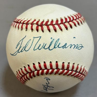 Ted Williams & Joe DiMaggio Rawlings Brown Ball