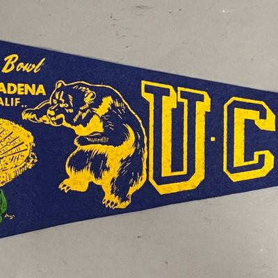 UCLA Rose Bowl Pasadena California Felt Pennant
