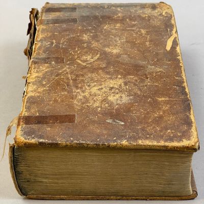 Antique The Naturalist's Library 1850s Gould Book