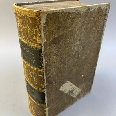 United States Dispensatory Wood & Bache 1865 Book