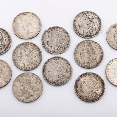 12 SILVER DOLLARS