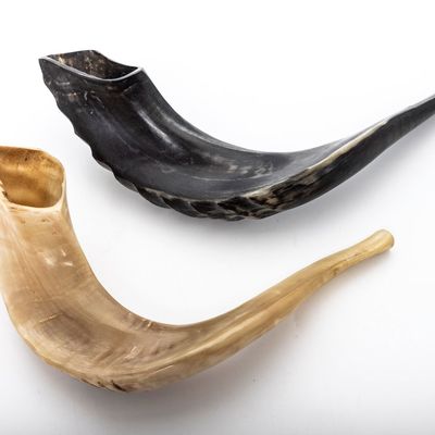 TWO VINTAGE HAND CARVED SHOFARS.