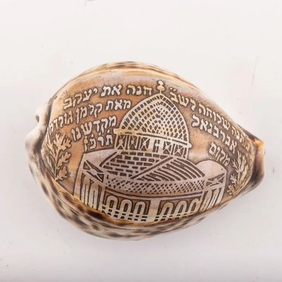 A RARE COWRY SHELL FROM THE TEMPLE MOUNT, 1927