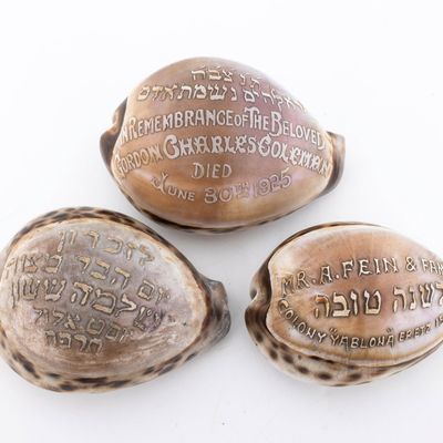 THREE JUDAICA CARVED COWRY SHELLS.