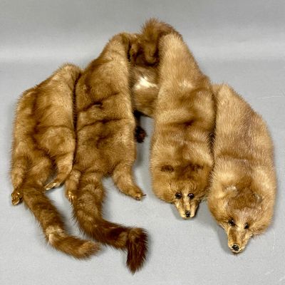 Nigbor Furs Four-Skin Mink Stole