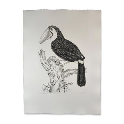 Jack Coutu (1924-2017) Etching, Sulphur Breasted Toucan, Signed