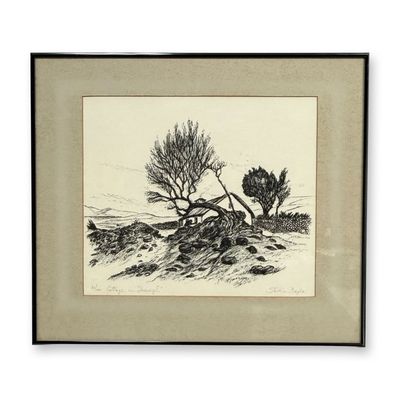 Steven Doyle, Cottage in Iveragh, Limited Edition Lithograph