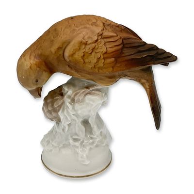 Dresden Porcelain Figurine, Bird
