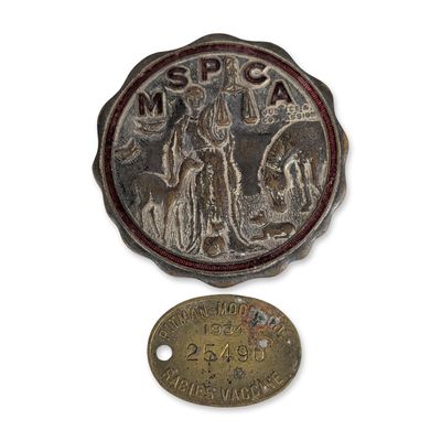 Two MSPCA Bronze Medal and 1934 Rabies Vaccination Tag