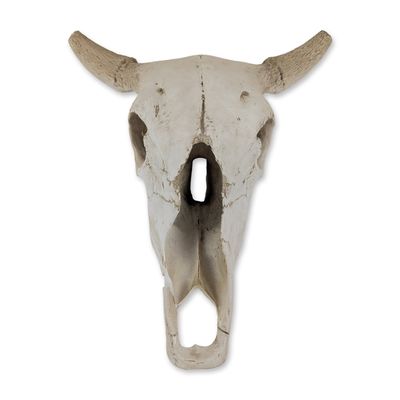 Faux Taxidermy Weathered Bison Skull Wall Decor ??" Rustic Resin Buffalo Mount