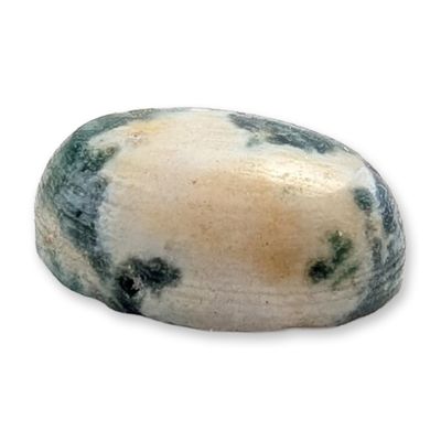 Oval Tree Agate Cabochon Gemstone