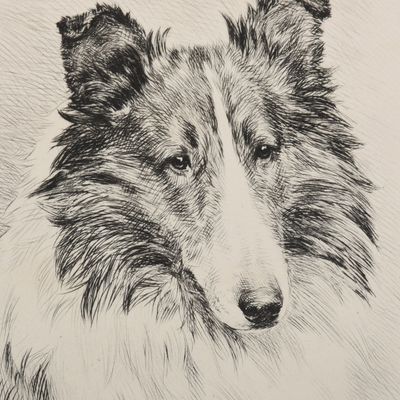 Sale Photo Thumbnail #291: Marguerite Kirmse (American, 1885-1954), Portrait of a Collie