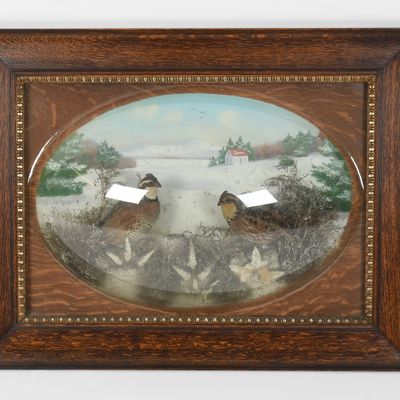 Sale Photo Thumbnail #359: A Late 19th Century Taxidermy Diorama