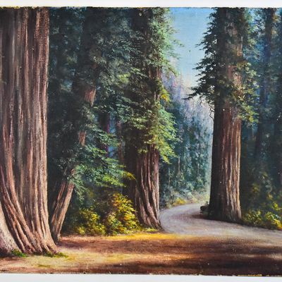 HAROLD SHANAHAN "ROAD THROUGH HUMBOLDT REDWOOD FOREST" CALIFORNIA OIL PAINTING