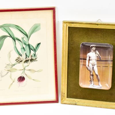 Sale Photo Thumbnail #86: "TRICHOPILIA MARGINATA" C.T ROSENBERG ZINCOGRAPH AND MICHELANGELO'S "DAVID" PLATE WALL ART