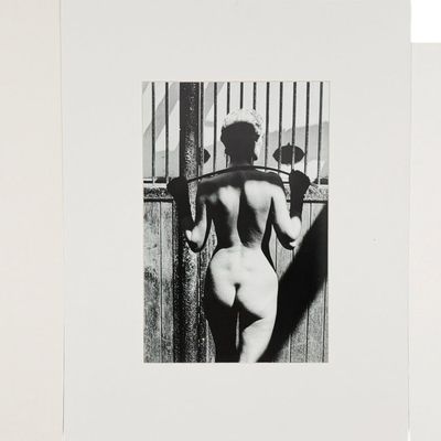 (3) Helmut Newton Photographic Prints
