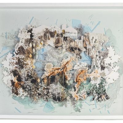 Gregory Euclide "Owning My Privilege in Naming Your Wilderness" Mixed Media Print