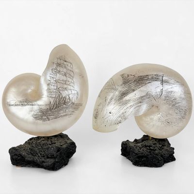 Pair of Engraved Pearlized Style Nautilus Shells