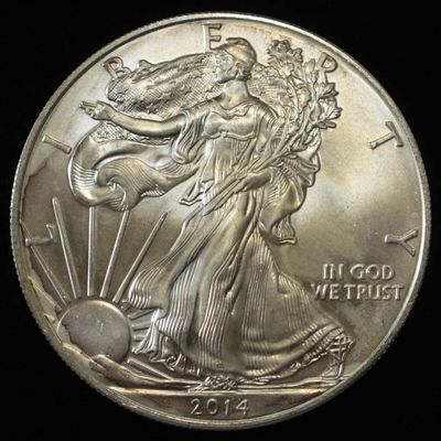 Sale Photo Thumbnail #393: 2014 AMERICAN SILVER EAGLE