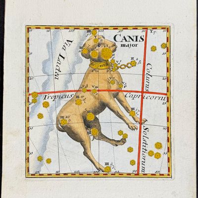 Thomas - Constellation or Celestial Chart of Canis Major (Dog)