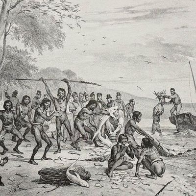 Dumont D'Urville, Australia - Encounter at Jervis Bay [Baie Jervis (Nouvelle Hollande), Les Marins de l'Astrolabe partagent...