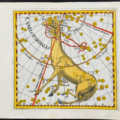 Thomas - Constellation or Celestial Chart of Camelopardalis (Camel)