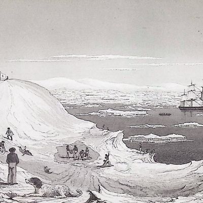Wilkes - View of the Antarctic Continent
