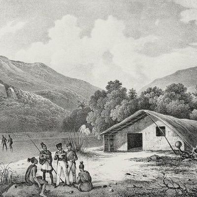 Dumont D'Urville, New Zealand - Maori at Tolaga Bay [Vue de L'Aiguarde du Captain Cook a Houahoua]. 45