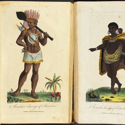 Linnaeus & Sibly's Natural History of Man - Volume 1 with 12 Originally Hand-coloered Ethnographic Engravings