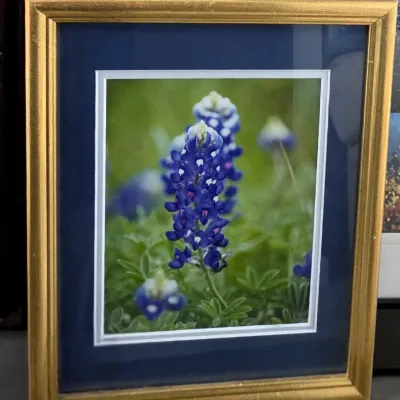Sale Photo Thumbnail #68