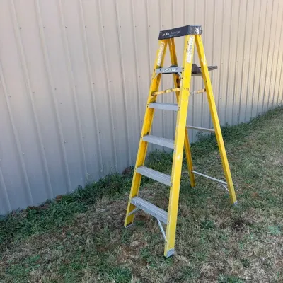 Werner 3+ Feet Ladder 