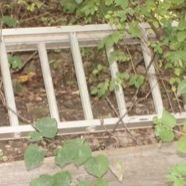 Sale Photo Thumbnail #139