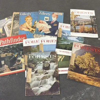 Sale Photo Thumbnail #316