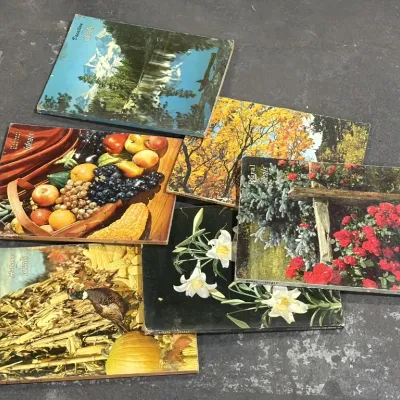 Sale Photo Thumbnail #317
