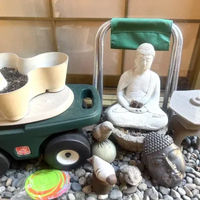 Outdoor Gardening And Decor