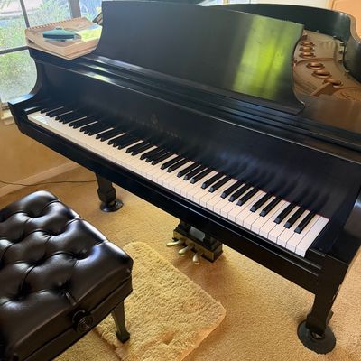 Steinway & Sons Model M grand piano, serial number 477419,  1981.