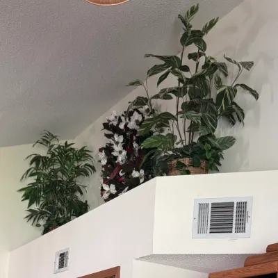 Sale Photo Thumbnail #6: Artificial plants