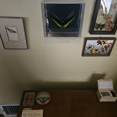 Sale Photo Thumbnail #19