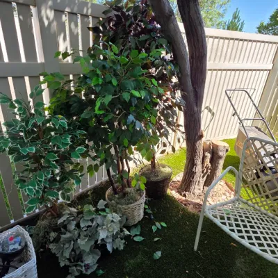 Sale Photo Thumbnail #161