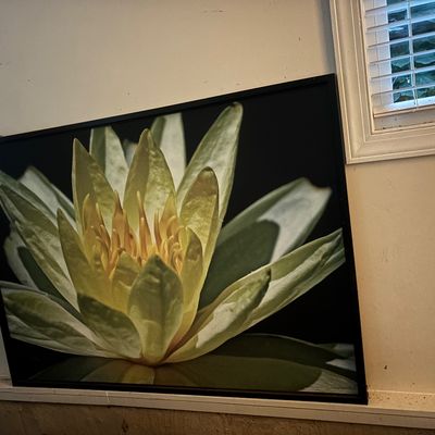 Sale Photo Thumbnail #57
