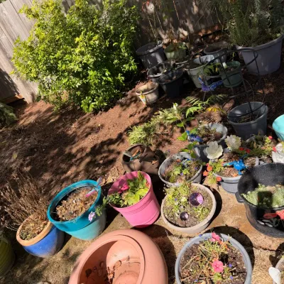 Sale Photo Thumbnail #147