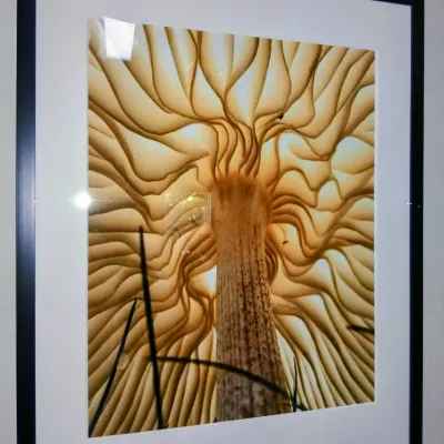 Sale Photo Thumbnail #64