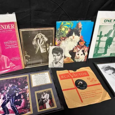 Sale Photo Thumbnail #96