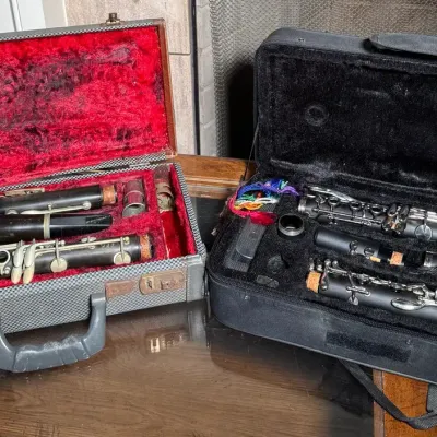 Two Clarinets In Carrying Cases