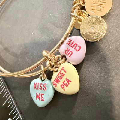 Alex and ani valentine charm bracelet