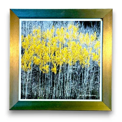 Sale Photo Thumbnail #57