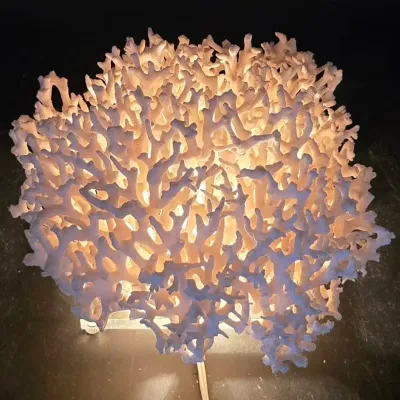 Large 12" Natural Branch Coral Specimen Accent Lamp – Illuminated Coastal Décor