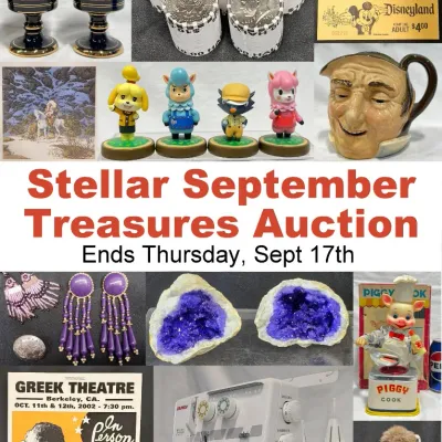 Sale Photo Thumbnail #5