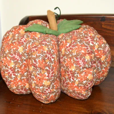 Sale Photo Thumbnail #40: Pumpkin 